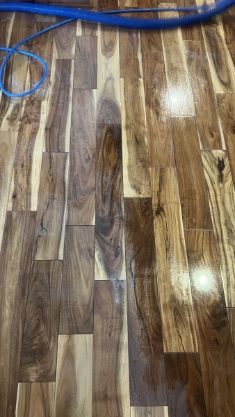 Floor Cleaning