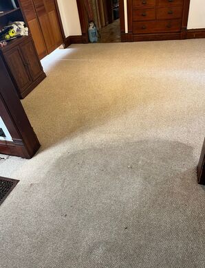 Before & After Carpet Cleaning in Tinley Park, IL (1)