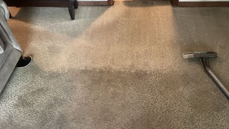 Carpet Stain Removal in Gary, IN (2)